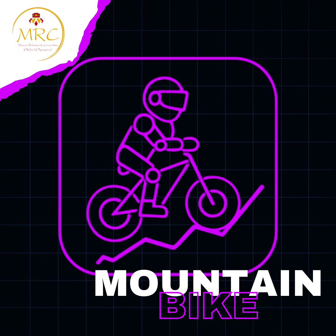 Mountain Bike Basic